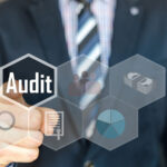 Auditing Business