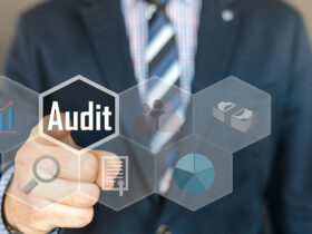 Auditing Business