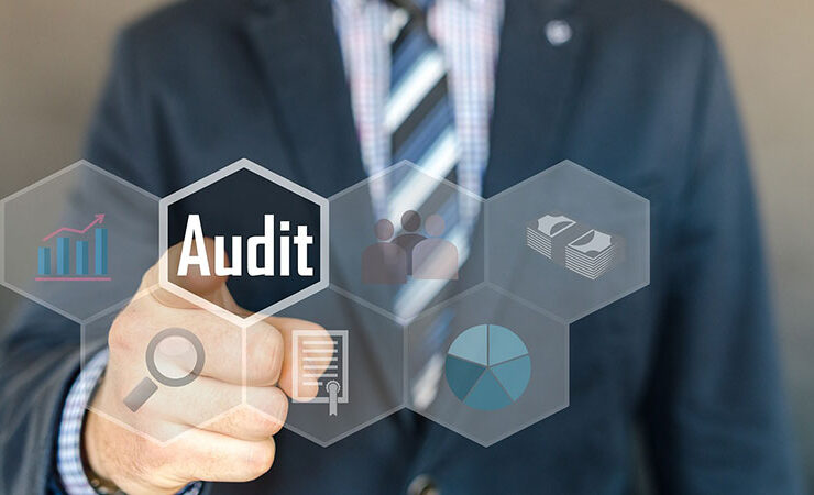 Auditing Business