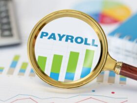 Best Payroll Provider