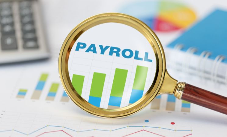 Best Payroll Provider