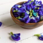 Butterfly Pea Flower