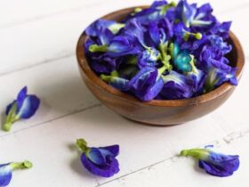 Butterfly Pea Flower