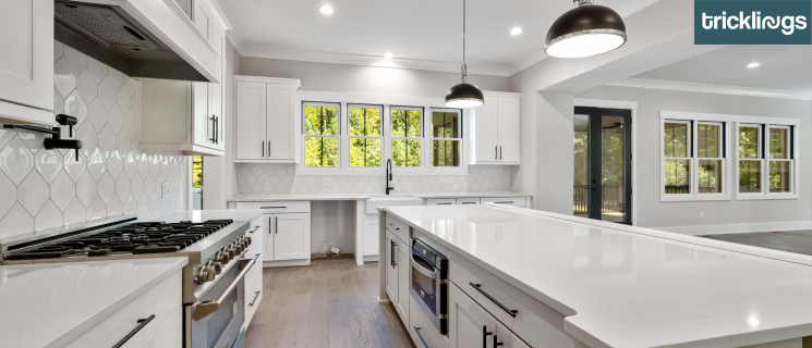 Cabinets for a Kitchen Remodel