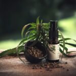Cannabinoid Absorption