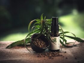 Cannabinoid Absorption