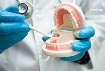 Denture, dentist holding dental teeth