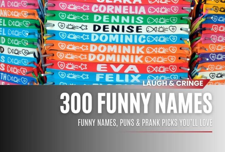 A list of funny fake names and prank name ideas, styled with colorful humor icons and playful text.