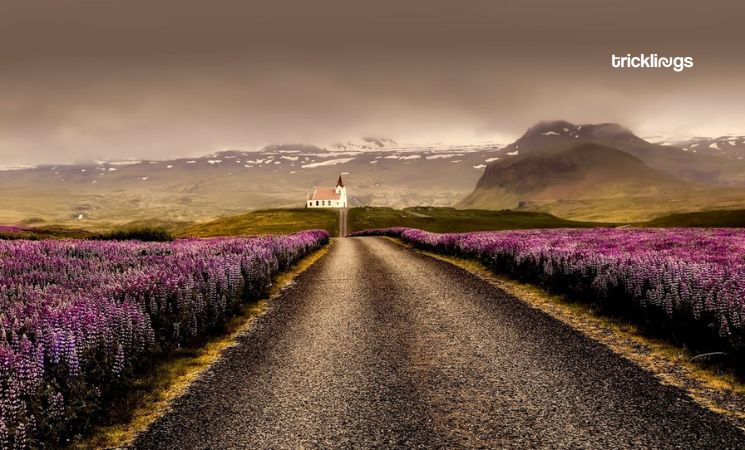 Iceland's Wilderness