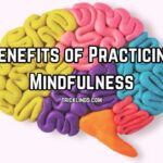 A brain describing practicing mindfulness