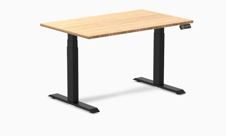 Leading Standing Desks