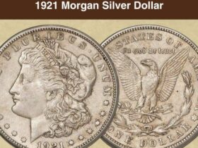 Morgan Silver Dollar