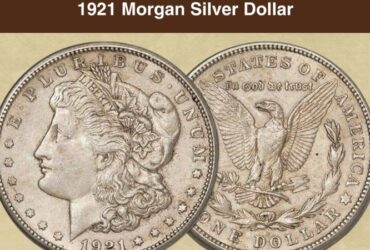 Morgan Silver Dollar