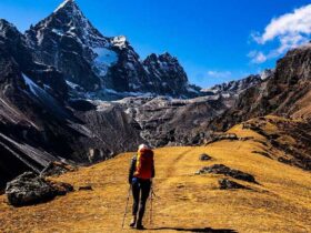 Mountain Trekkers