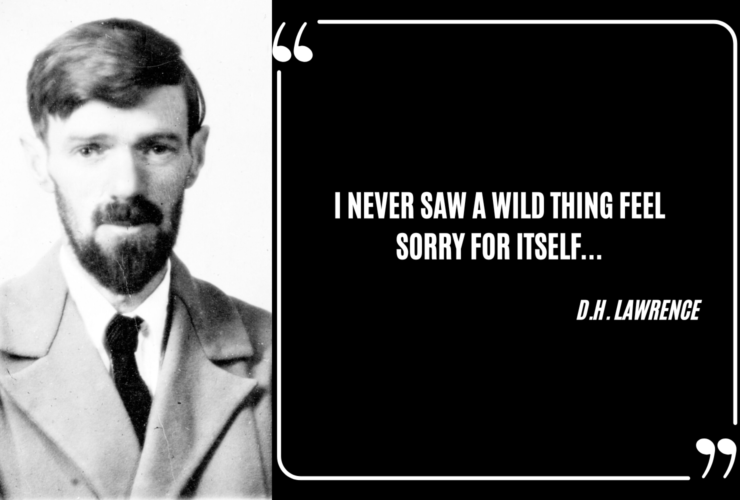 Nature Doesn't Weep, Strength Without Self-Pity