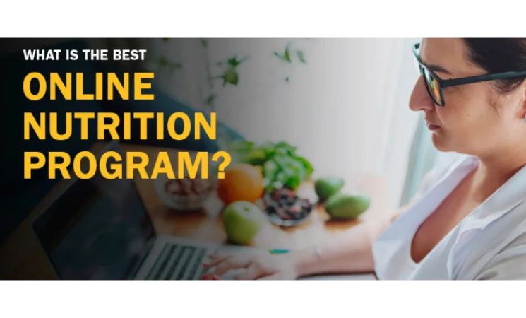 Online Nutrition Program