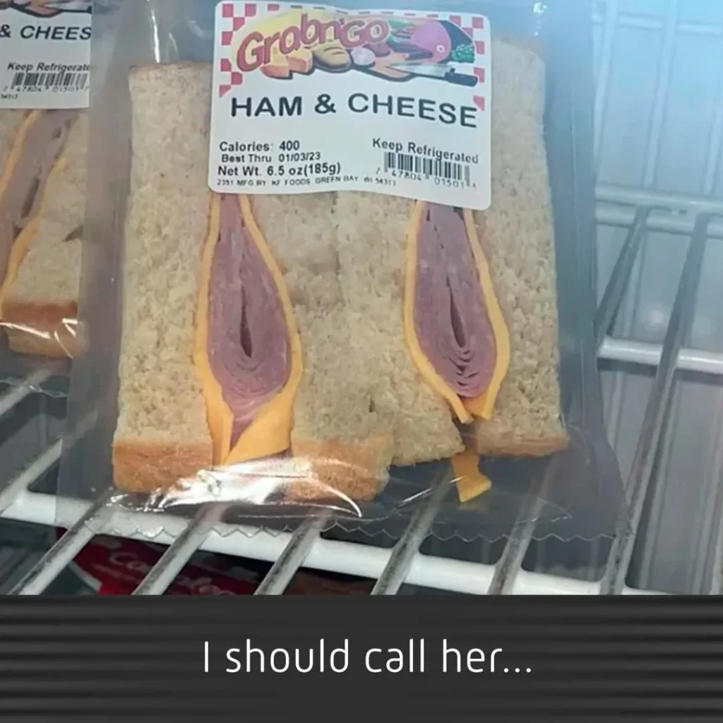 Packaged ham and cheese sandwich arranged in a way that unintentionally looks suggestive — one of the top 20 funny pictures online.