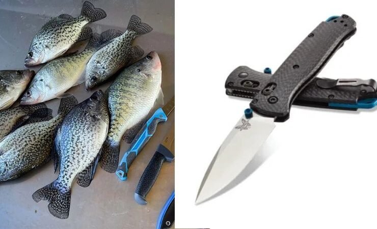 Perfect Fishing Knives