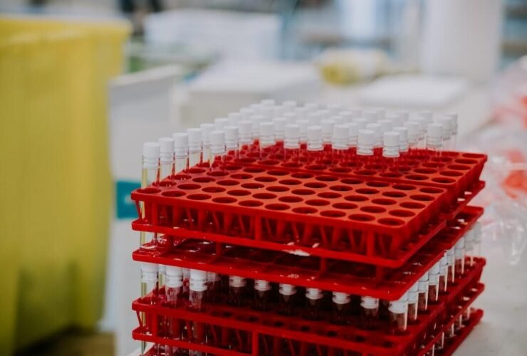 Preclinical Drug Development