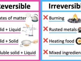 Reversible