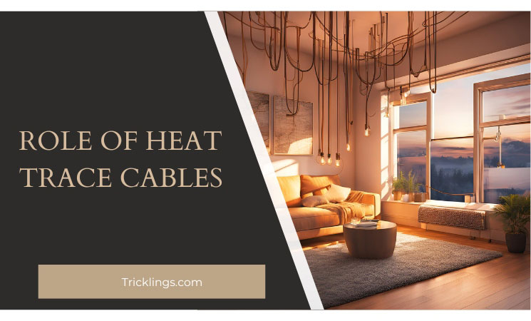 Role of Heat Trace Cables