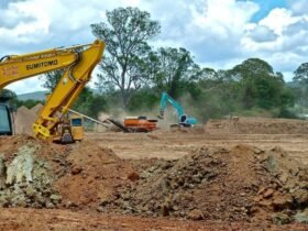 Safe Land Clearing Projects