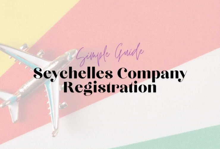 Airplane over the Flag of Seychelles Travel Concept for business