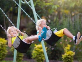 Swings for Kids