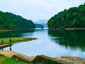 Thekkady