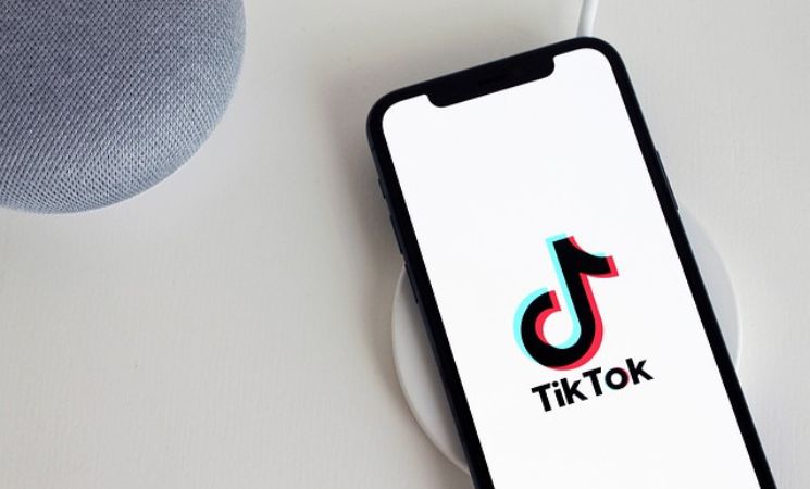 Top TikTok Creators