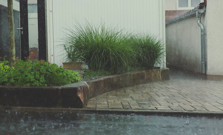 Water Damage