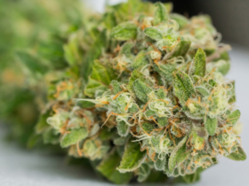 THCA Flower