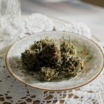 Close-up of CBD cannabis buds on a white plate