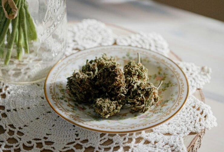 Close-up of CBD cannabis buds on a white plate