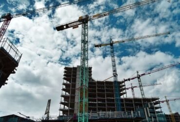 Green and yellow crane symbolizing cultural fluency in international construction work
