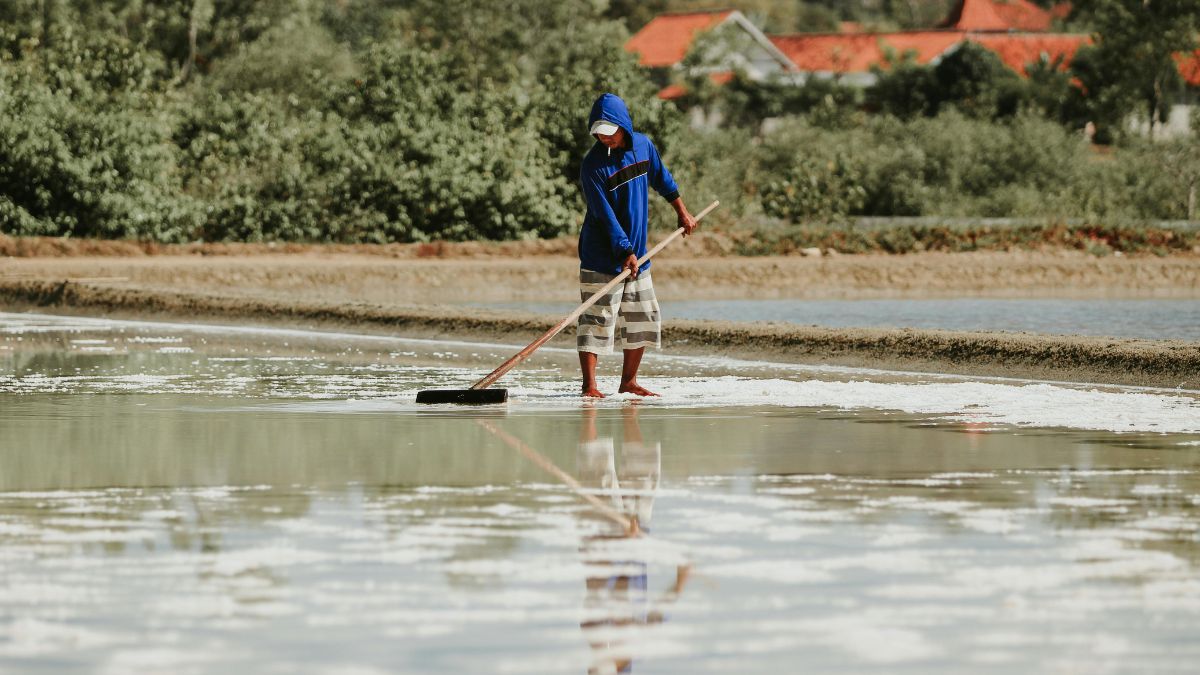 Indigenous salt farmer working in East Java, symbolizing traditional knowledge in sustainable business.