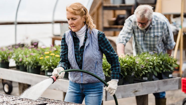 Photo by Greta Hoffman - Senior couple working in greenhouse