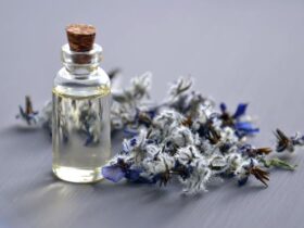 Photo by Mareefe - Selective Focus Photo of Aromatherapy Bottle With Cork Lid