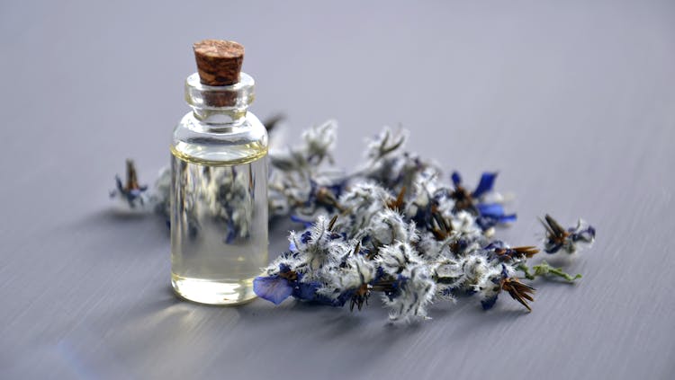 Photo by Mareefe - Selective Focus Photo of Aromatherapy Bottle With Cork Lid