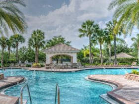 Luxurious backyard pool with palm trees, representing a well-built pool by a reliable pool-building business.