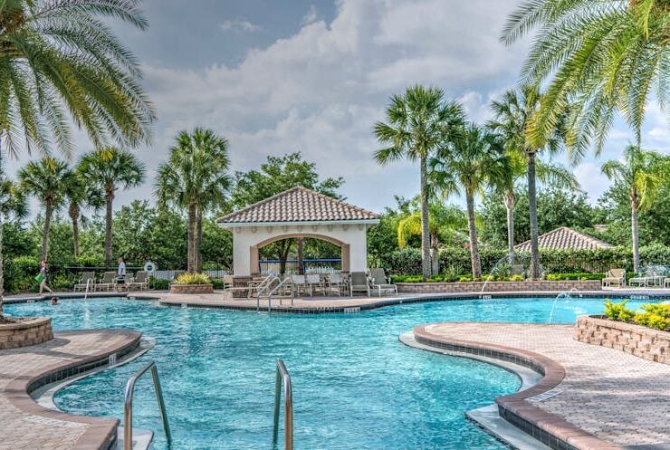 Luxurious backyard pool with palm trees, representing a well-built pool by a reliable pool-building business.