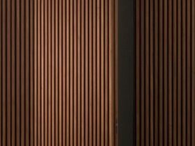Modern pivot hinge door with hidden design inspiration