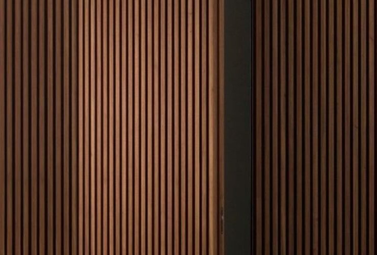 Modern pivot hinge door with hidden design inspiration