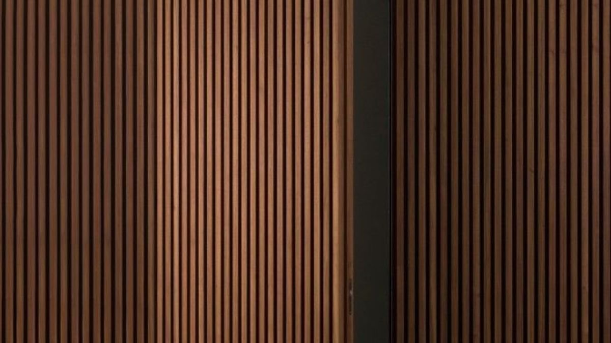 Modern pivot hinge door with hidden design inspiration